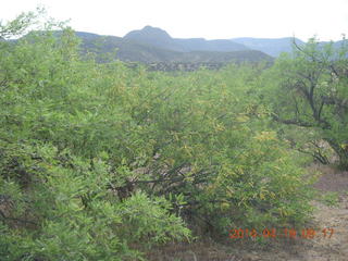 Sean G grapevine pictures - Bouquet Ranch back to Grapevine