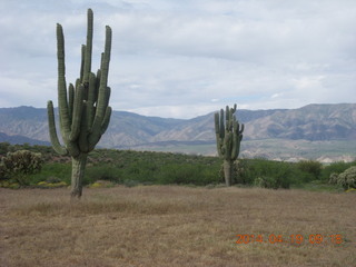 Sean G grapevine pictures - Bouquet Ranch back to Grapevine