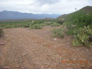 Bouquet Ranch run