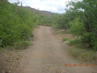 Bouquet Ranch run