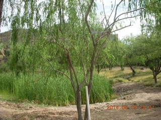 Bouquet Ranch run - runway and house