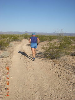 2252 8ll. Alamo Lake airstrip run - Adam