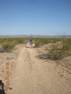 292 8ll. Alamo Lake airstrip run - Adam