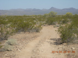 298 8ll. Alamo Lake airstrip run