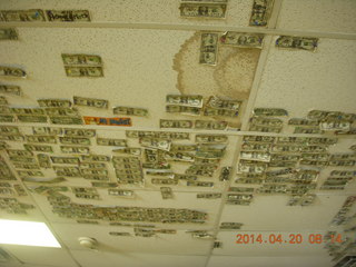 Alamo Lake airstrip - dollar bills on the ceiling