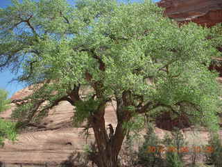 Canyon de Chelly - Spider Rock hike
