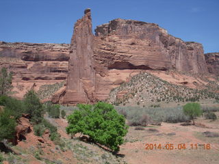 Canyon de Chelly - Spider Rock hike - lichen covered rocks