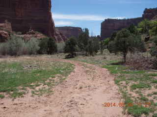 Canyon de Chelly - Spider Rock hike - petroglyphs