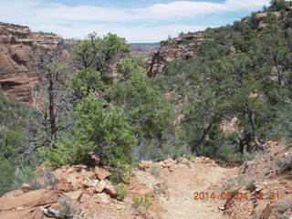 Canyon de Chelly - Spider Rock hike