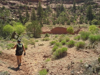 2283 8m4. Canyon de Chelly - Spider Rock hike - Adam