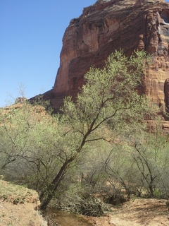 Canyon de Chelly - Spider Rock hike