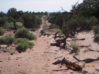 172 8md. Canyonlands National Park - Murphy trail run