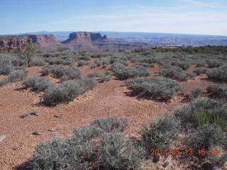 Canyonlands National Park - Murphy trail run