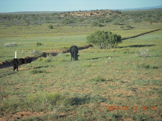 Canyonlands National Park - Grandview