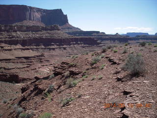 129 8mf. Canyonlands National Park - Lathrop hike