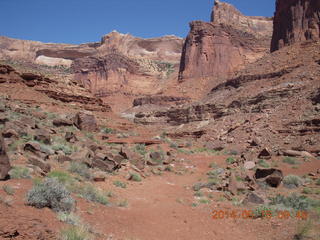 136 8mf. Canyonlands National Park - Lathrop hike