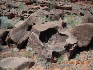 Canyonlands National Park - Lathrop hike