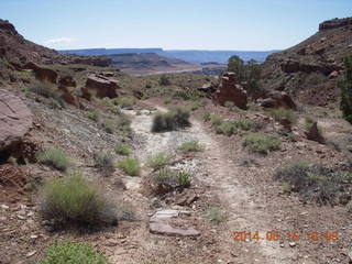 147 8mf. Canyonlands National Park - Lathrop hike