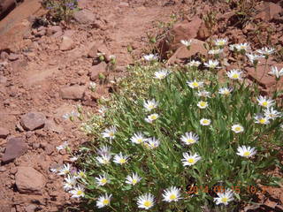 Canyonlands National Park - Lathrop hike - cool hollowed-out rocks