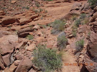 154 8mf. Canyonlands National Park - Lathrop hike