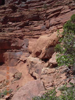 Canyonlands National Park - Lathrop hike