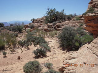 Canyonlands National Park - Lathrop hike