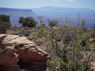 Canyonlands National Park - Lathrop hike - my rental Jeep