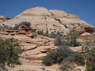 187 8mf. Canyonlands National Park - Lathrop hike