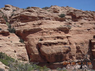 Canyonlands National Park - Lathrop hike