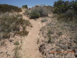 203 8mf. Canyonlands National Park - Lathrop hike