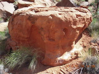 245 8mf. Canyonlands National Park - Lathrop hike