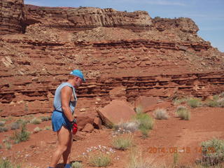 Canyonlands National Park - Lathrop hike - plant