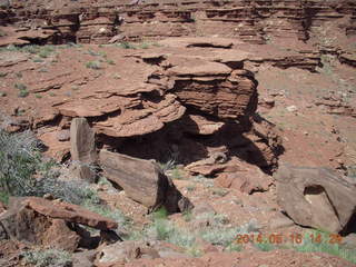 257 8mf. Canyonlands National Park - Lathrop hike