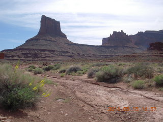 272 8mf. Canyonlands National Park - Lathrop hike