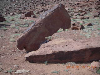 307 8mf. Canyonlands National Park - White Rim Road drive