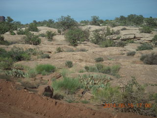 368 8mf. Canyonlands National Park - White Rim Road drive