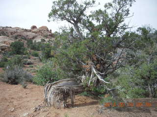 Arches National Park - Devil's Garden hike