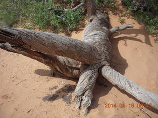 Arches National Park - Devil's Garden hike - Private Arch