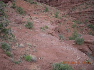 249 8mg. Fisher Tower hike