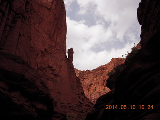 Fisher Tower hike - ladder