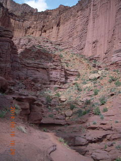 Fisher Tower hike