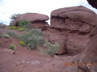 Fisher Tower hike