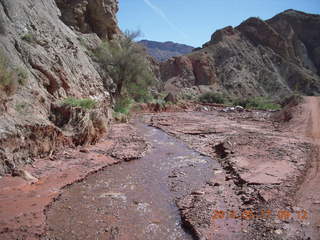 Onion Creek drive