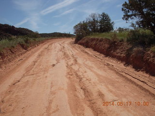 Onion Creek drive - oncoming vehicle