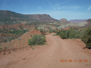 Onion Creek drive