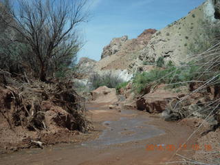 Onion Creek drive