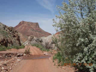 Onion Creek drive