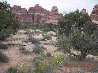 70 8mj. Canyonlands National Park - Needles - Elephant Hill + Chesler Park hike