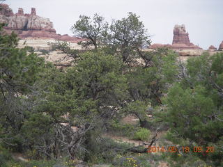 Canyonlands National Park - Needles - Elephant Hill + Chesler Park hike