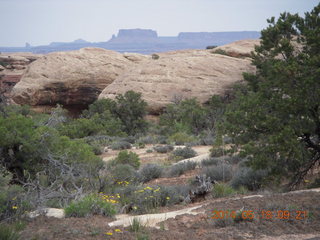 73 8mj. Canyonlands National Park - Needles - Elephant Hill + Chesler Park hike